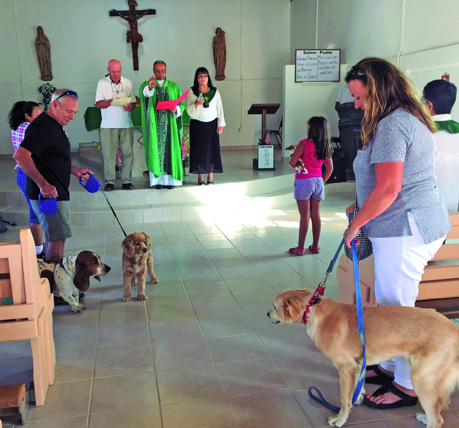 Bring pets to San José for a blessing on Oct. 4