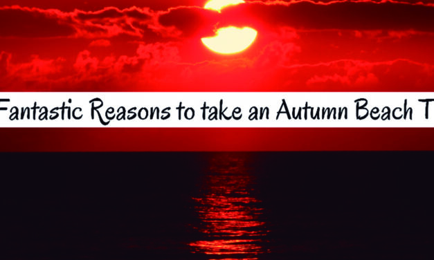 19 fantastic reasons to take an Autumn beach trip