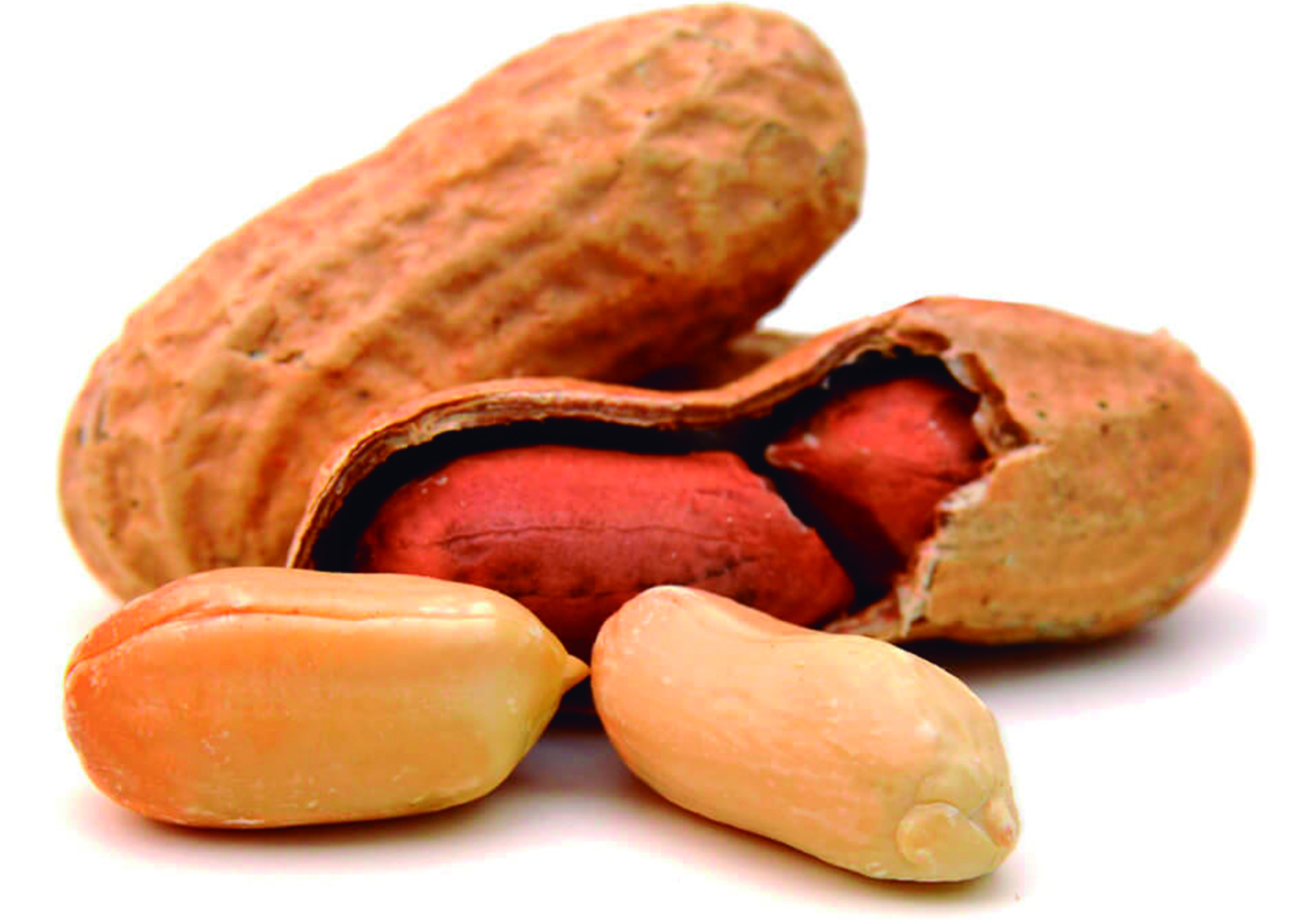 The Humble Peanut