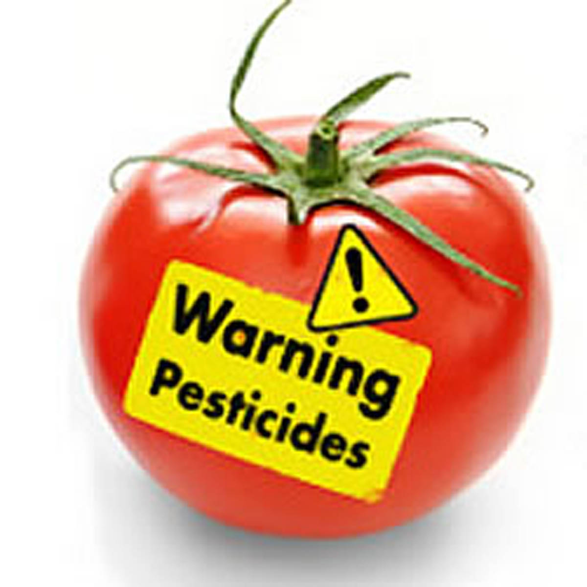 What The Mayans Knew About Pesticides