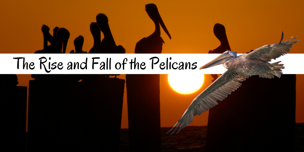 The Rise and Fall of the Pelicans