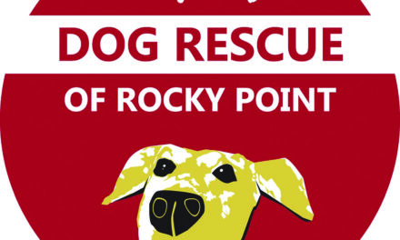 BARB’S DOG RESCUE NEWSLETTER