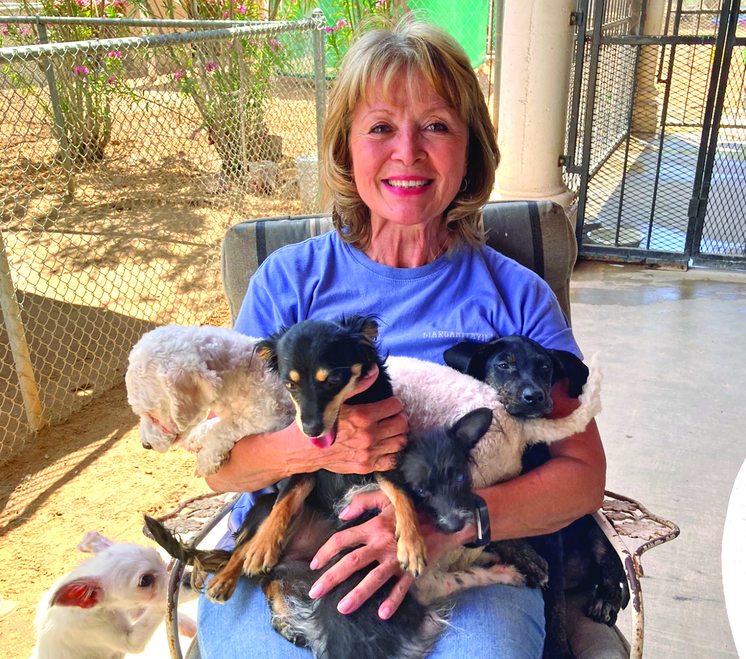 BARB’S DOG RESCUE NEWSLETTER