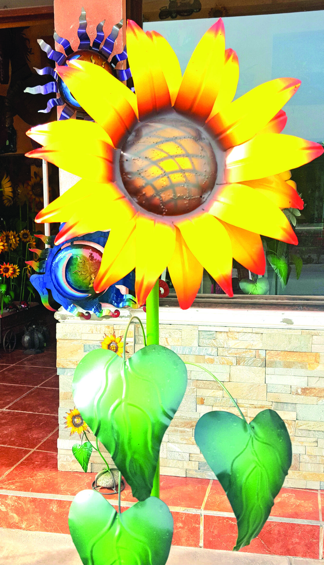 Discover Rodeo Drive | Rocky Point Times Newspaper