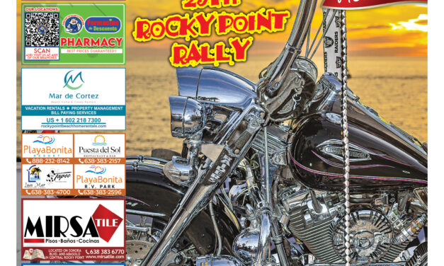 Editorial November 2025