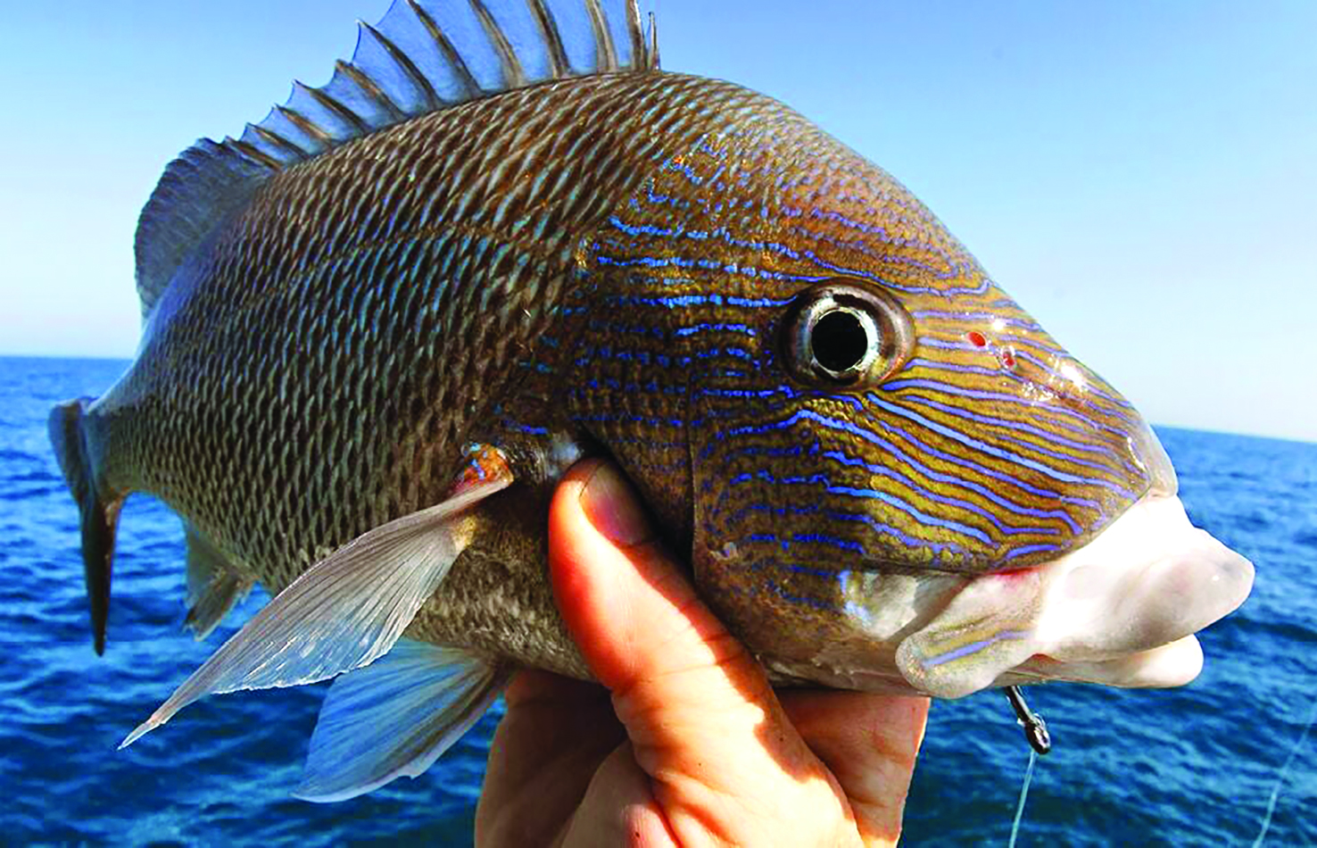 Fun Fall Fly Fishing