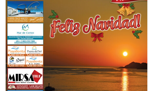 Editorial December 2025