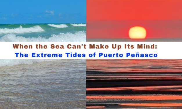 When the Sea Can’t Make Up Its Mind: The Extreme Tides of Puerto Peñasco