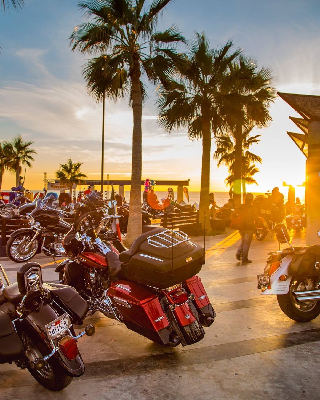 Harleys, Catrinas, and Closing Tables: Inside Puerto Peñasco’s Record-Breaking November Boom