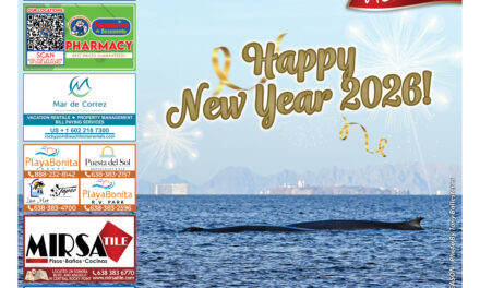 Editorial January 2026