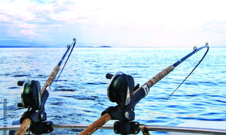 Vince has gone Fishing