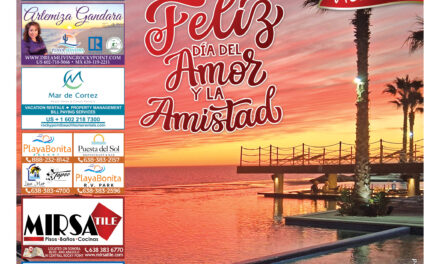 Editorial February 2026