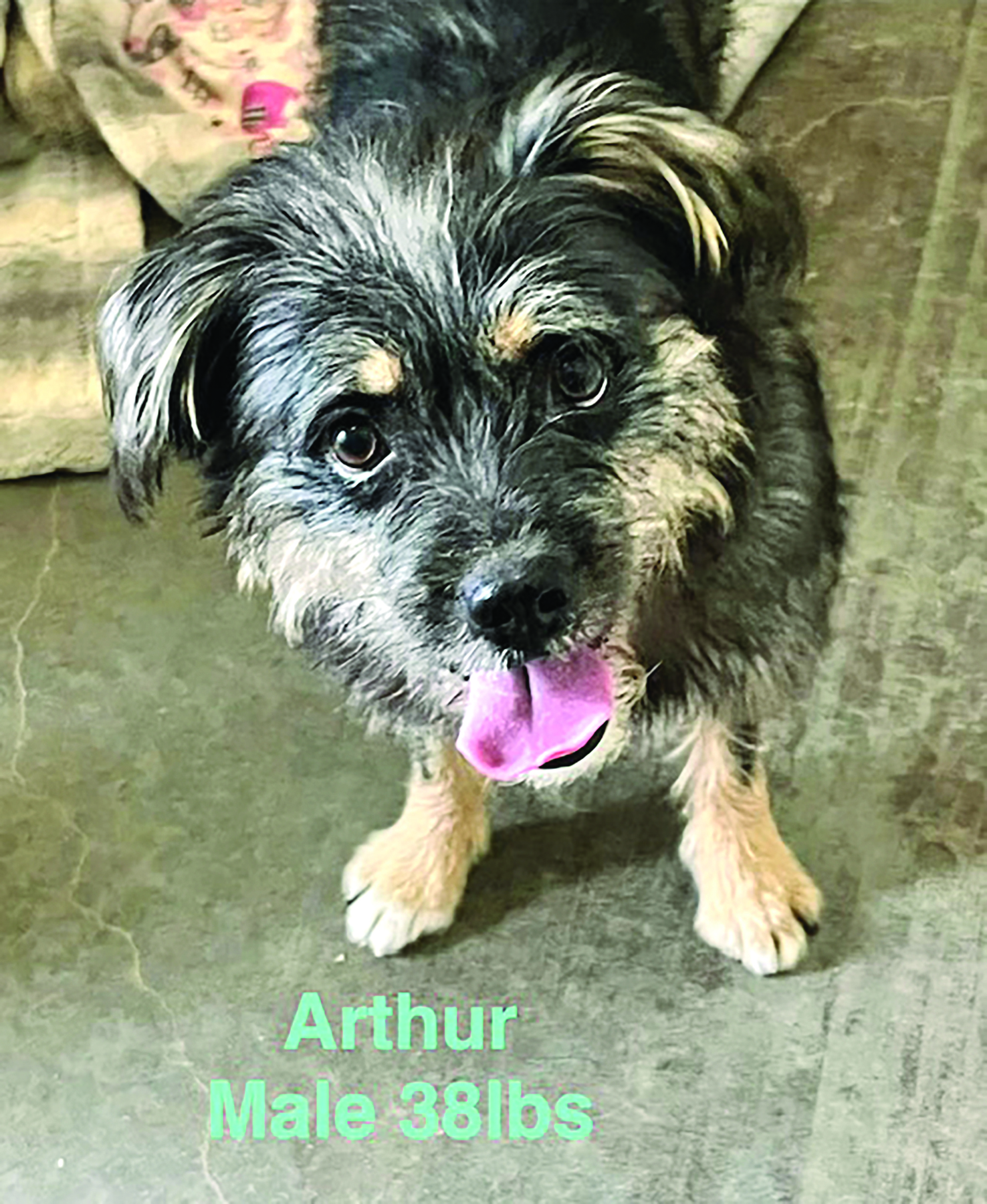 The Ripple Effect of Kindness in our small town