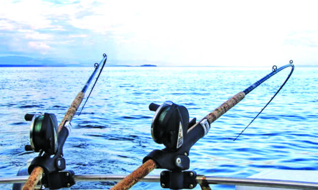 I Like to Fish…Puerto Peñasco