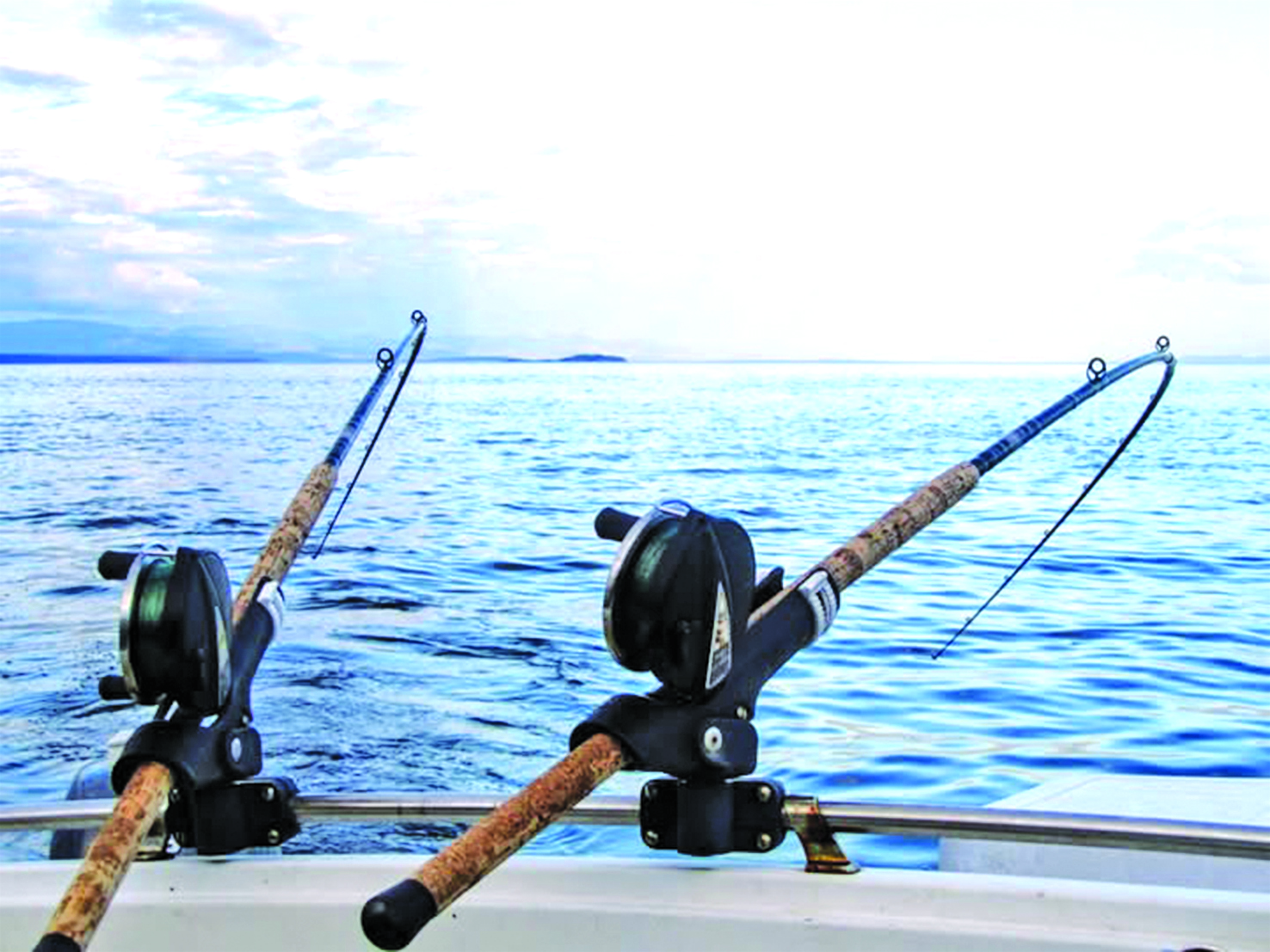 I Like to Fish…Puerto Peñasco