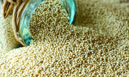 Amaranth Sacred Food of The Aztecs