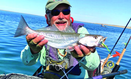 Enthusiastic Fly-Fishing Report