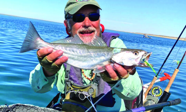 Enthusiastic Fly-Fishing Report