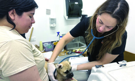 Wags & Whiskers: Stories from Compassion Without Borders