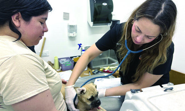 Wags & Whiskers: Stories from Compassion Without Borders