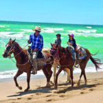 The Sensational Sea of Cortez!!!