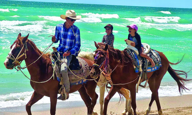 The Sensational Sea of Cortez!!!