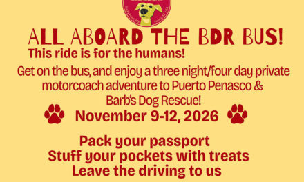 ALL ABOARD THE BDR BUS!